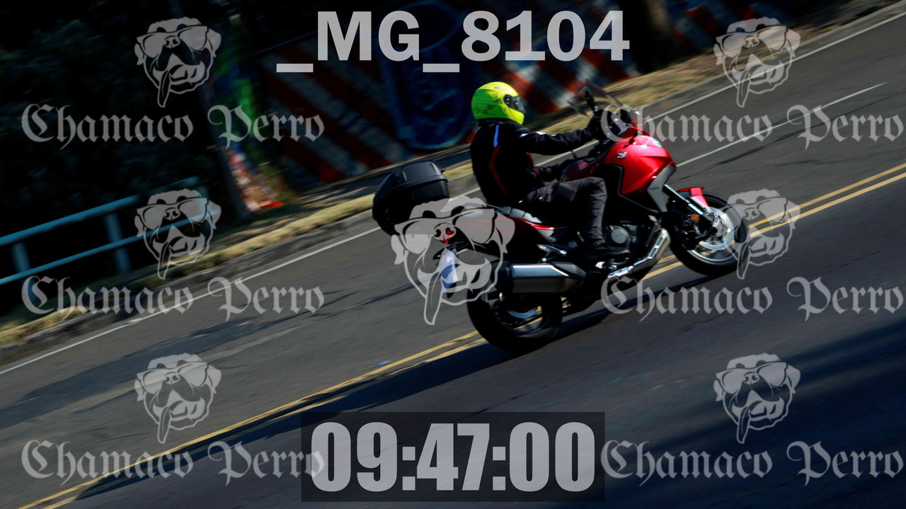 MUESTRA MG 8104 — Postimages