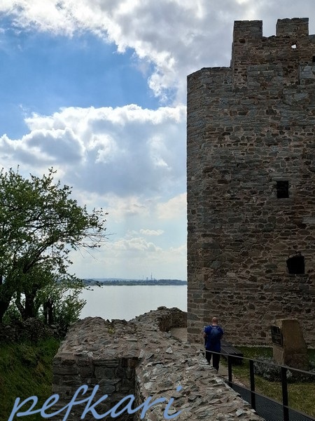 Slika