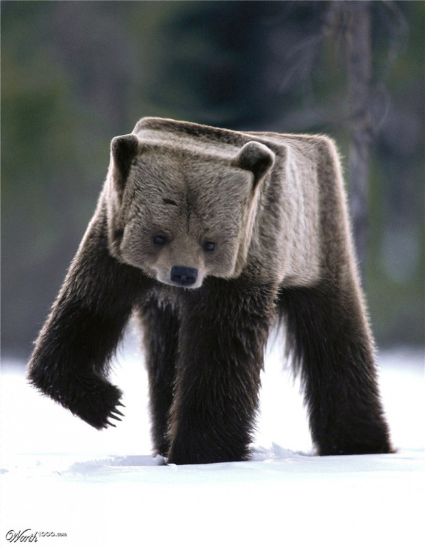 2-cubism-photo-manipulation-square-800x1031