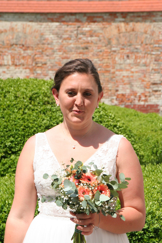 IMG 5250 — Postimages
