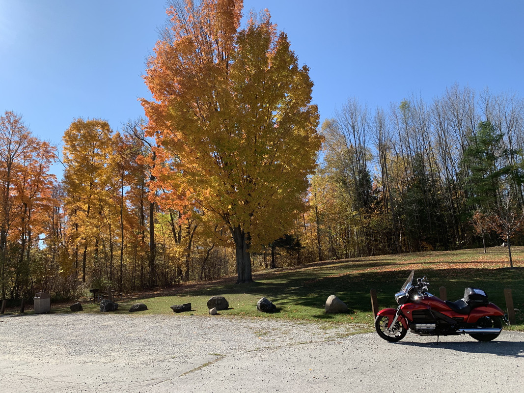 1503C5F6-0165-4686-AF58-CF2F74741272