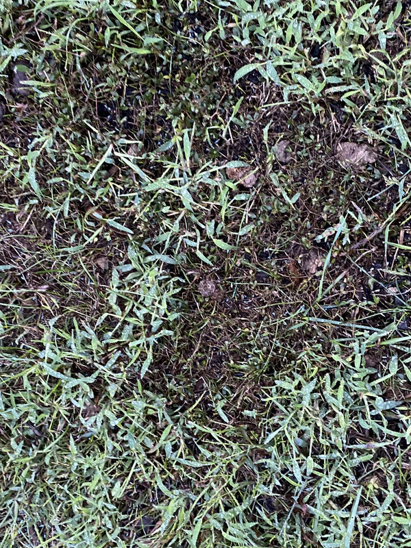 8EB2CB73-F5D0-472B-A01E-888C33844832