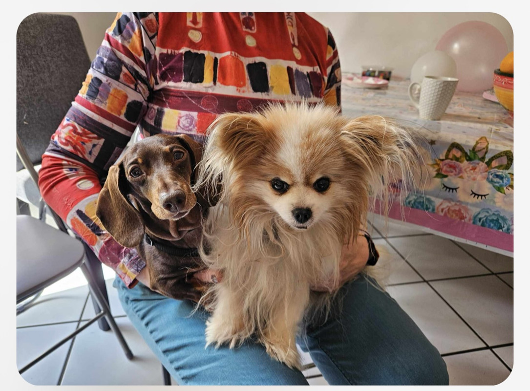 [Image: IMG-9002.jpg]