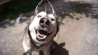 [Image: ezgifcom-optimize-3-1513766384111-gif.png]