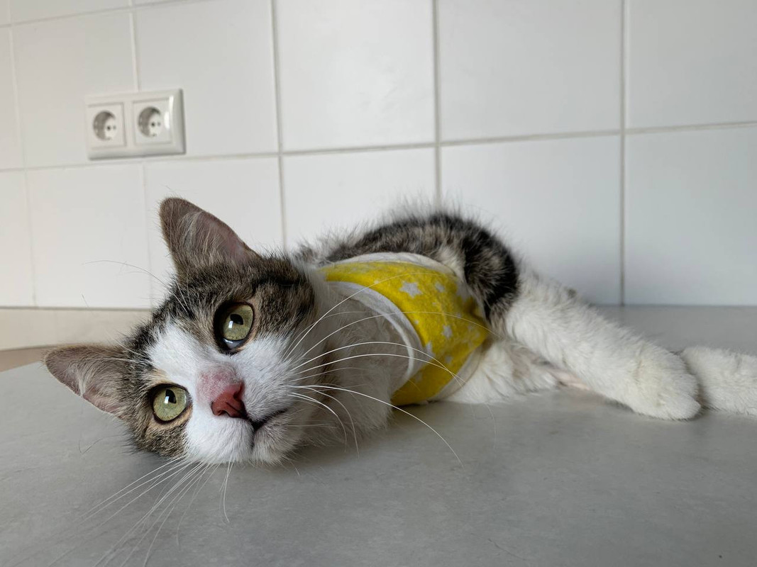 CFEBAF5F-F570-4594-B824-69F3D071DE39