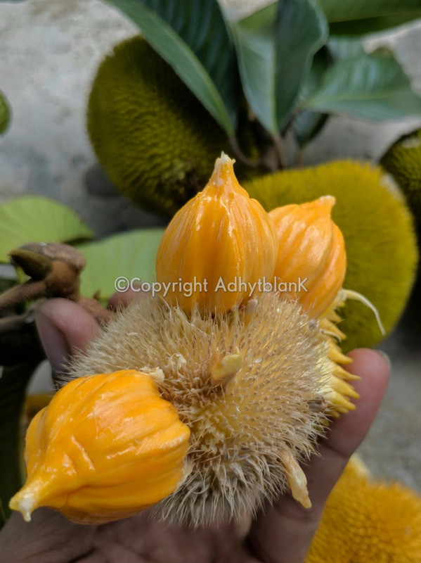 00000IMG_00000_BURST20220715134253021_COVER~2-1_wm