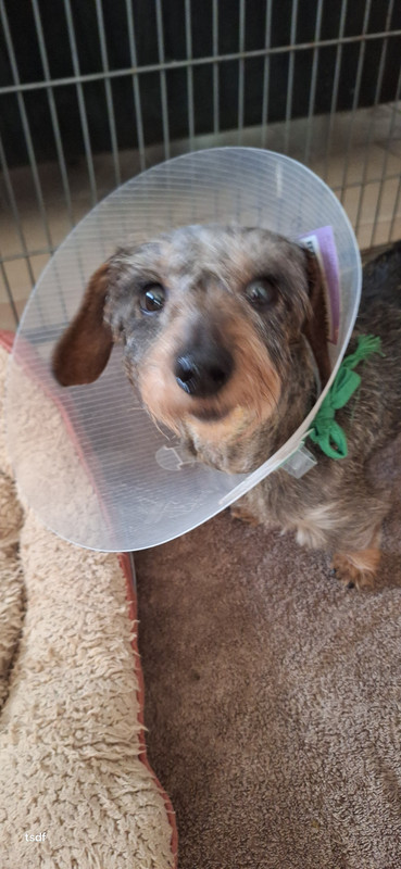 [Image: 20250226-091358.jpg]