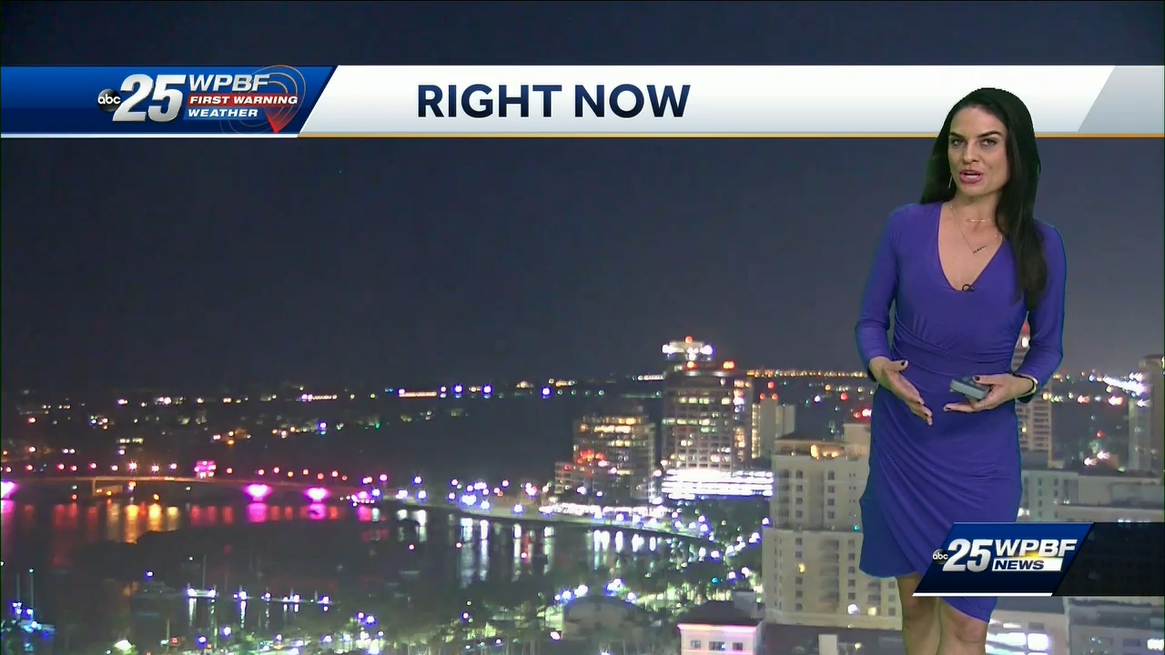 01.10 - 04.00.00 - WPBF 25 News..ts_snapshot_14.38.935