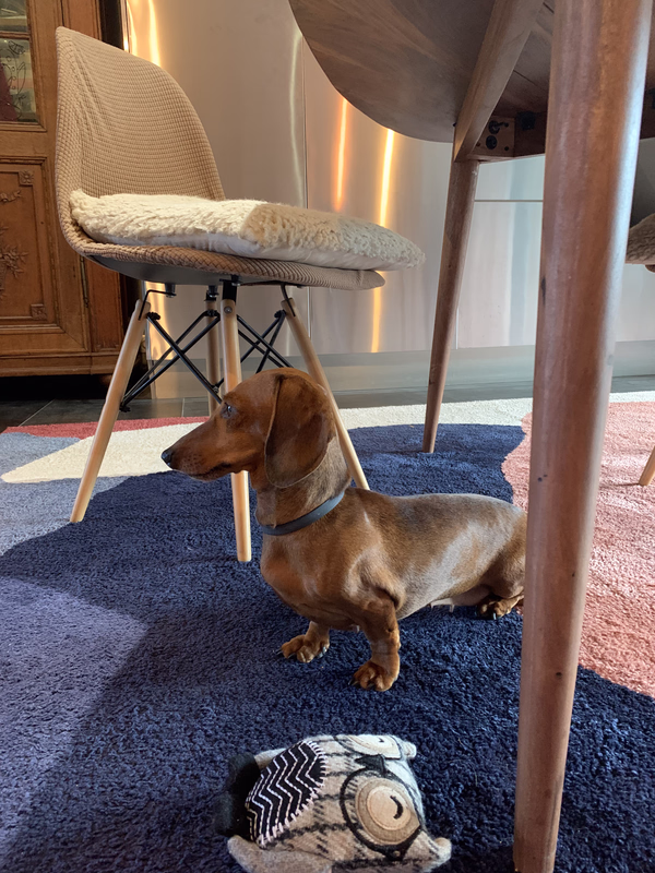 [Image: IMG-20251120-194952.avif]