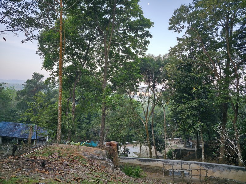 20250216-065224.jpg
