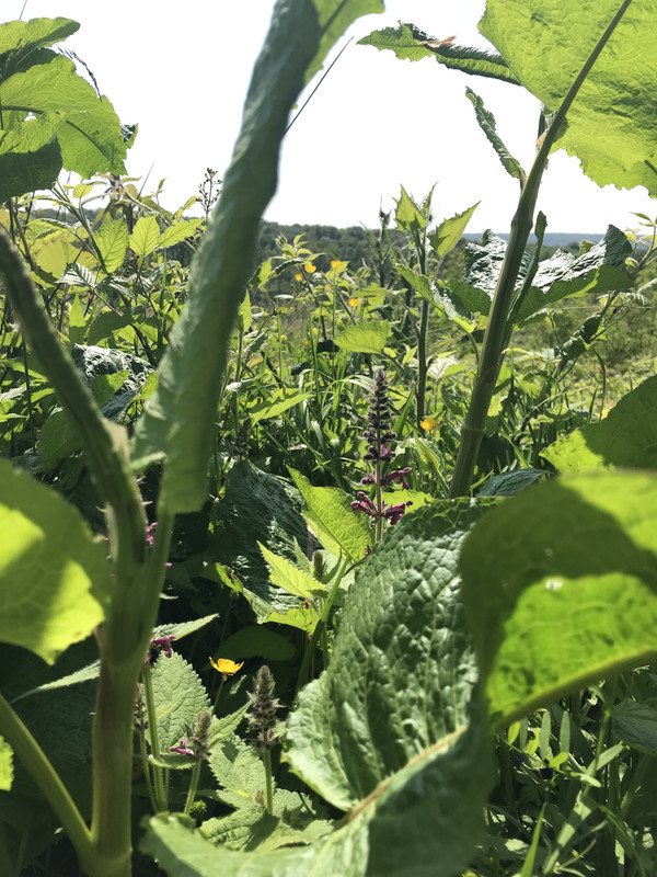 5B039D78-B486-4F71-B44E-38E20F5F4DF7