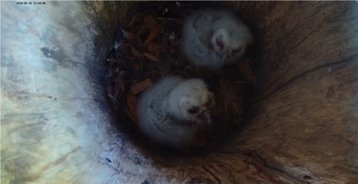 Képernyőkép – 2018-05-16 12-05-07