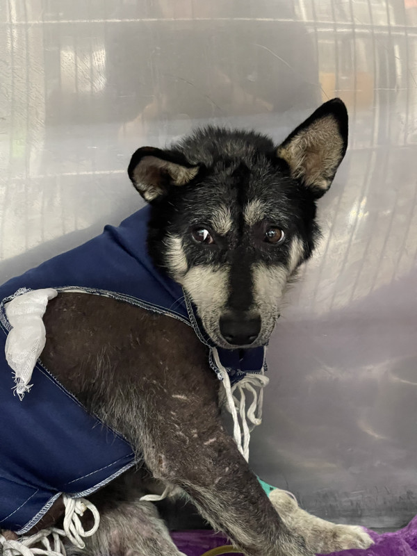 CAADA3F0-1D6F-4EBA-B2BA-CE9AA9D9025C