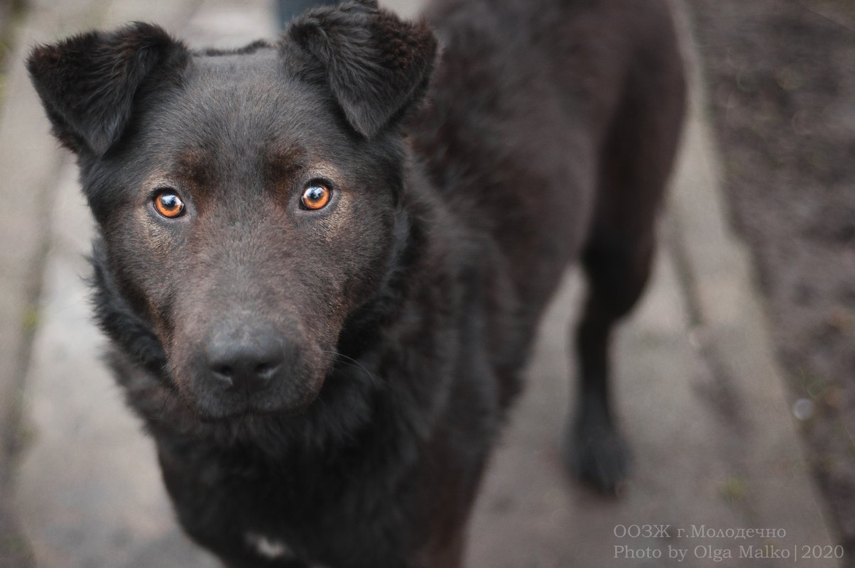 IMG-755cc82cb126b3cb6685e8b3e158c353-V