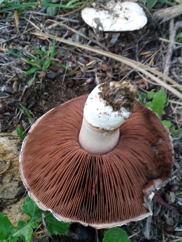 66B83096-C53B-4731-8A58-B232F2BD2941