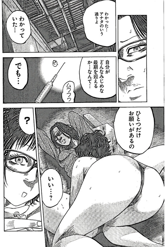 ShimaumaVol11-12