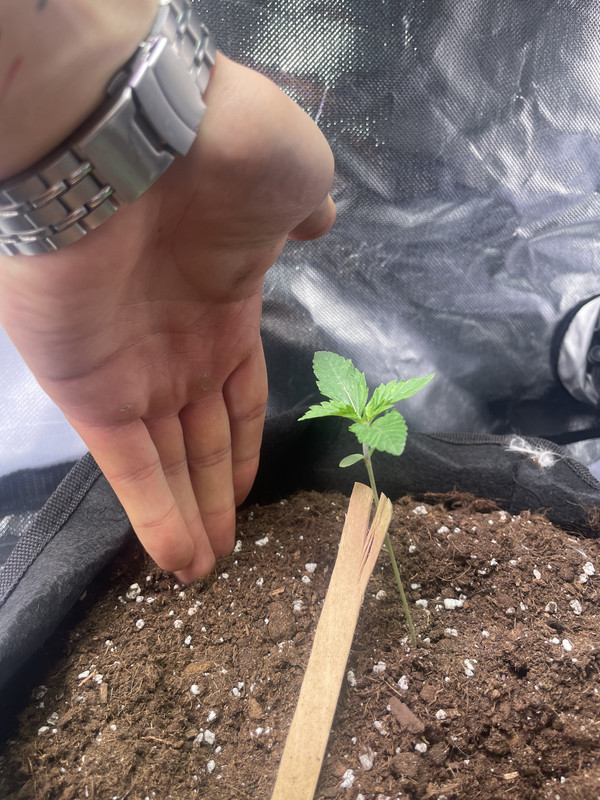 6DF4DC8F-660B-4C52-85BB-85D6BB0F83F5