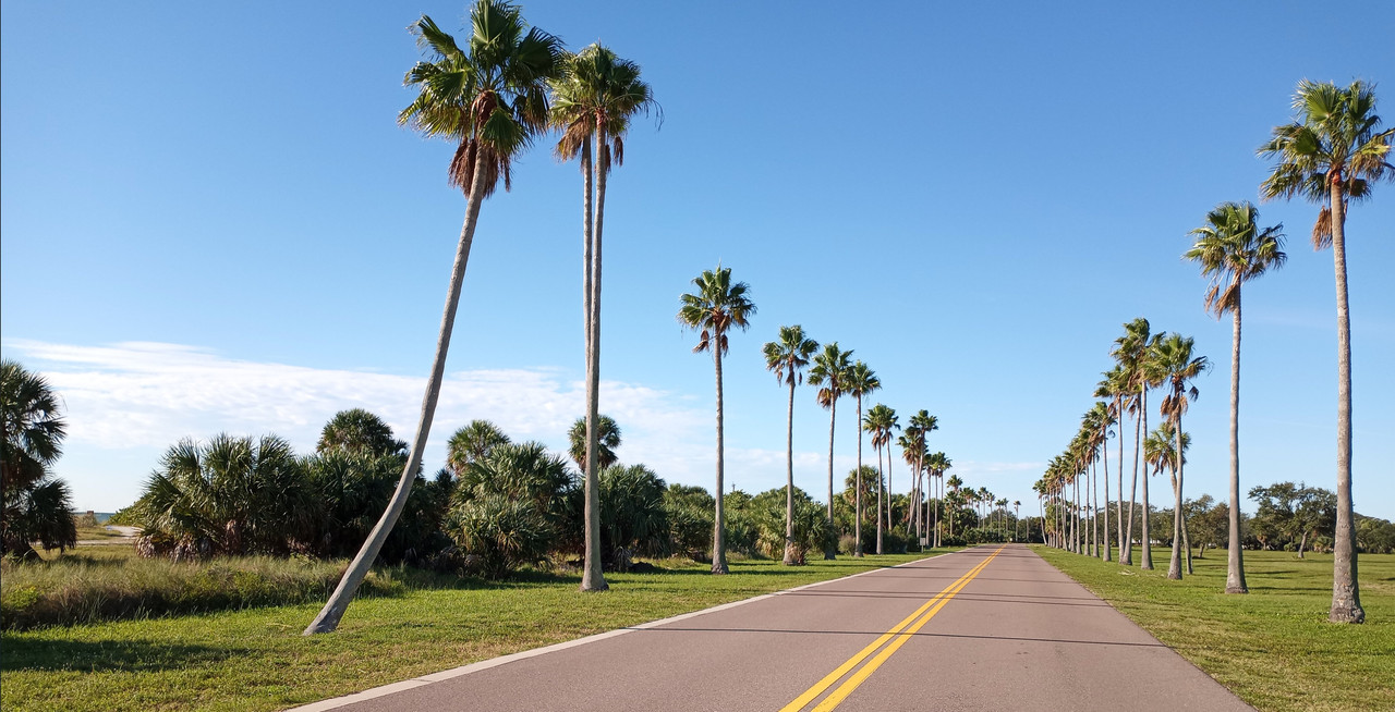 [Image: Florida5.jpg]