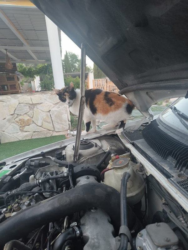 IMG_20240601_211737515 (1)