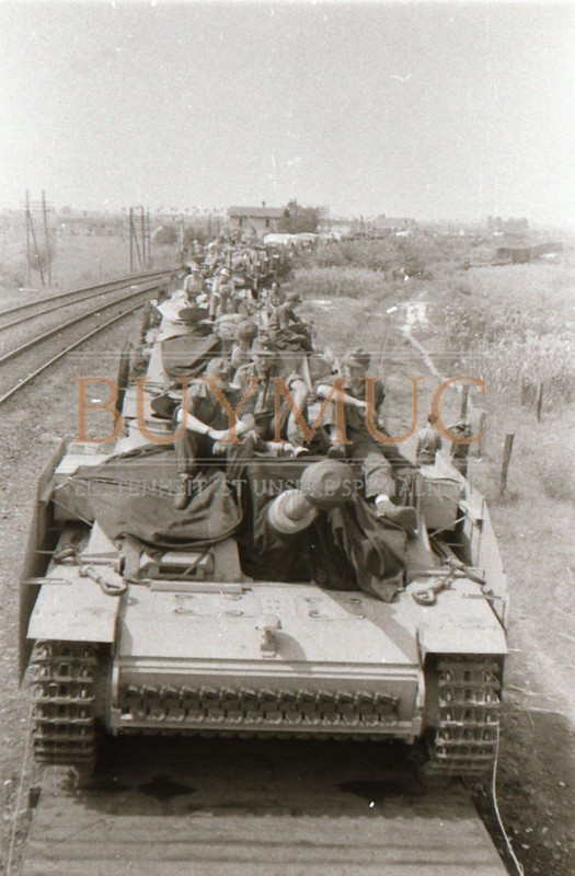 Sturmgeschütz Langrohr Panzer-Abteilung 115 Italien Wehrmacht