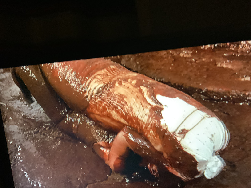 B485150E-B56F-4A6B-A4A0-ACC3D1609981