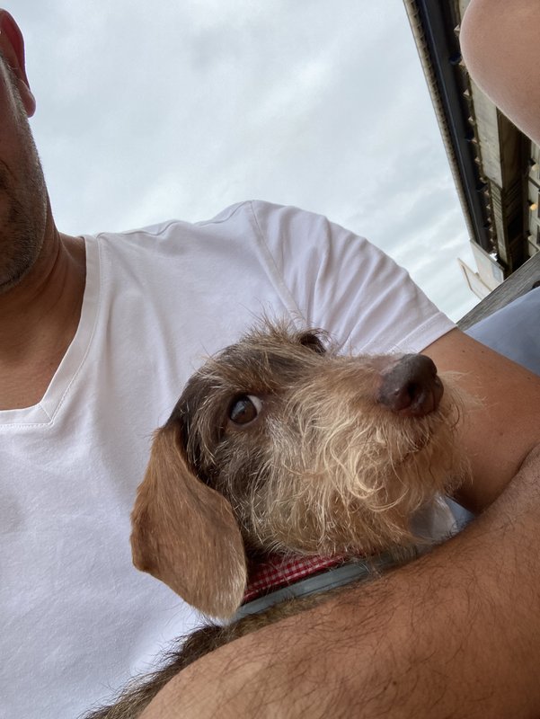 [Image: IMG-2513.jpg]