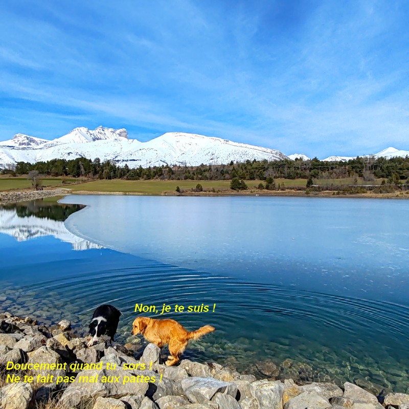 IMG-20260222-122136bb