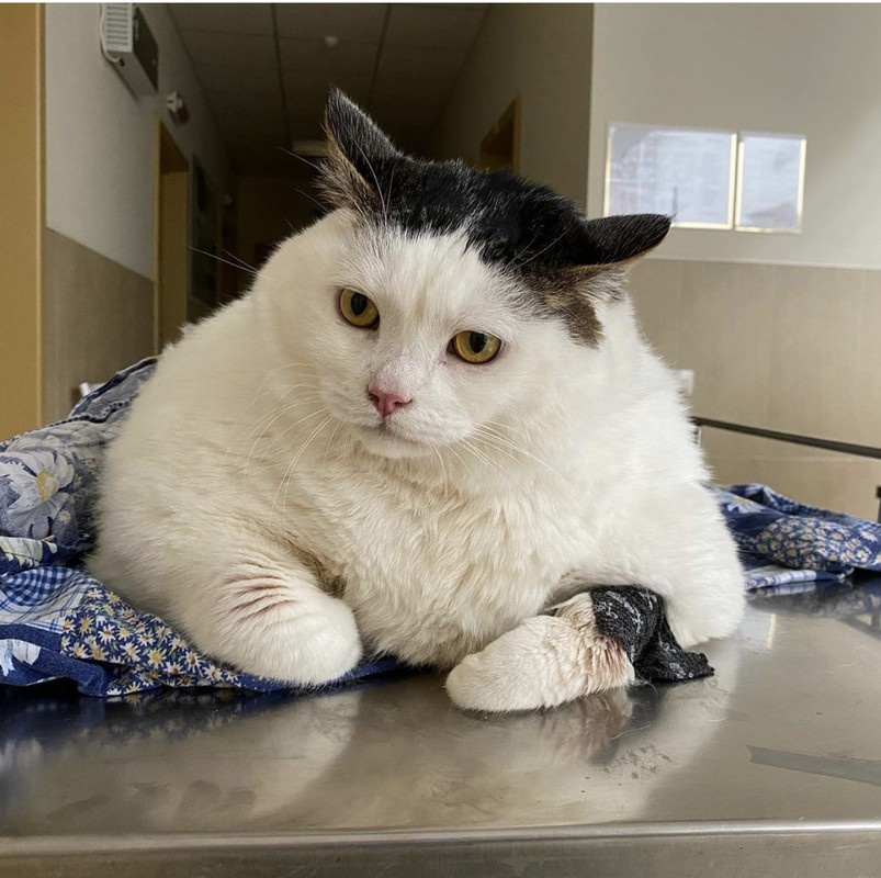 5033D7BE-08EA-451D-A4C7-DE524CDA55D6