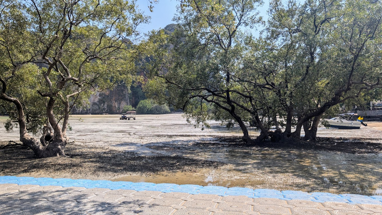 Playa de Railay East no recomendable para baño - Tailandia: Rutas e Itinerarios por Libre - Foro Tailandia