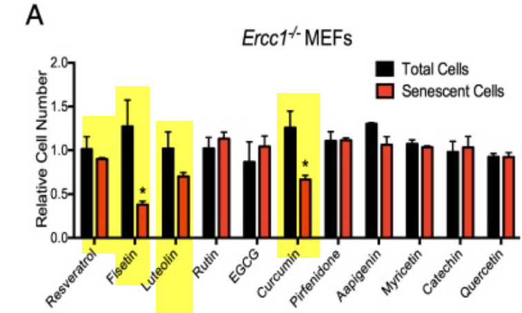 The Lancet fisetin vs Curcumin vs Resveratrol