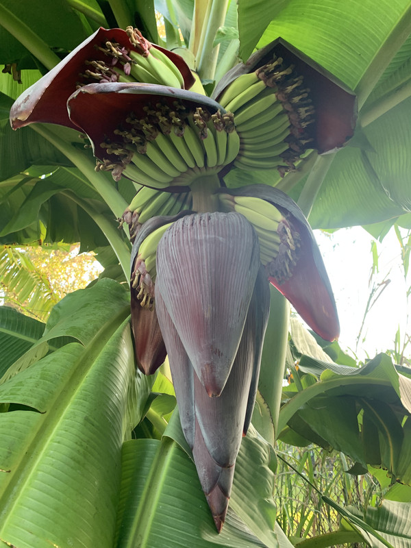 A1672758-FD7D-44C2-B6C4-EF00E1C0A79C