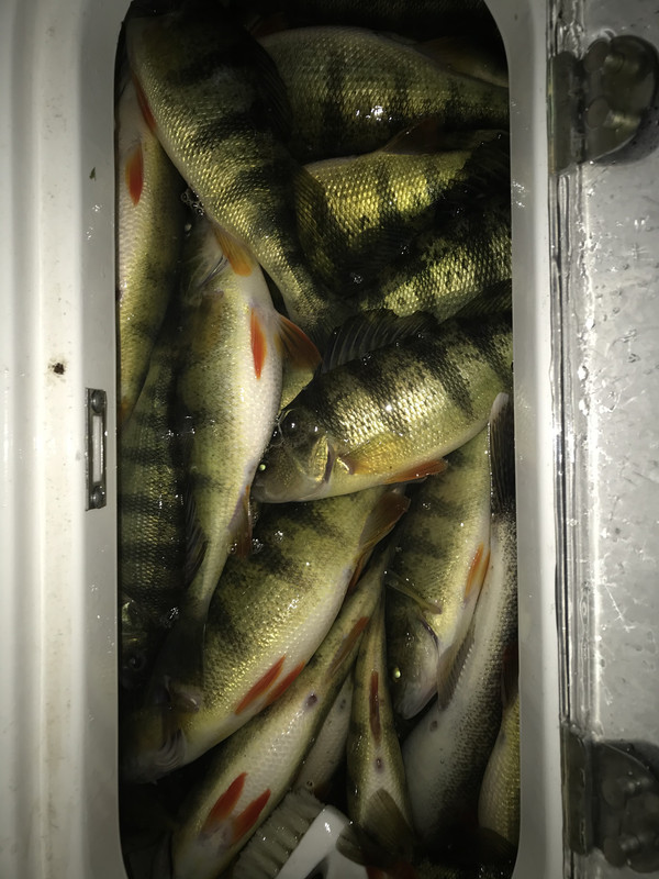 278CB39B-F573-4DB2-A99B-C7E9C655DECA