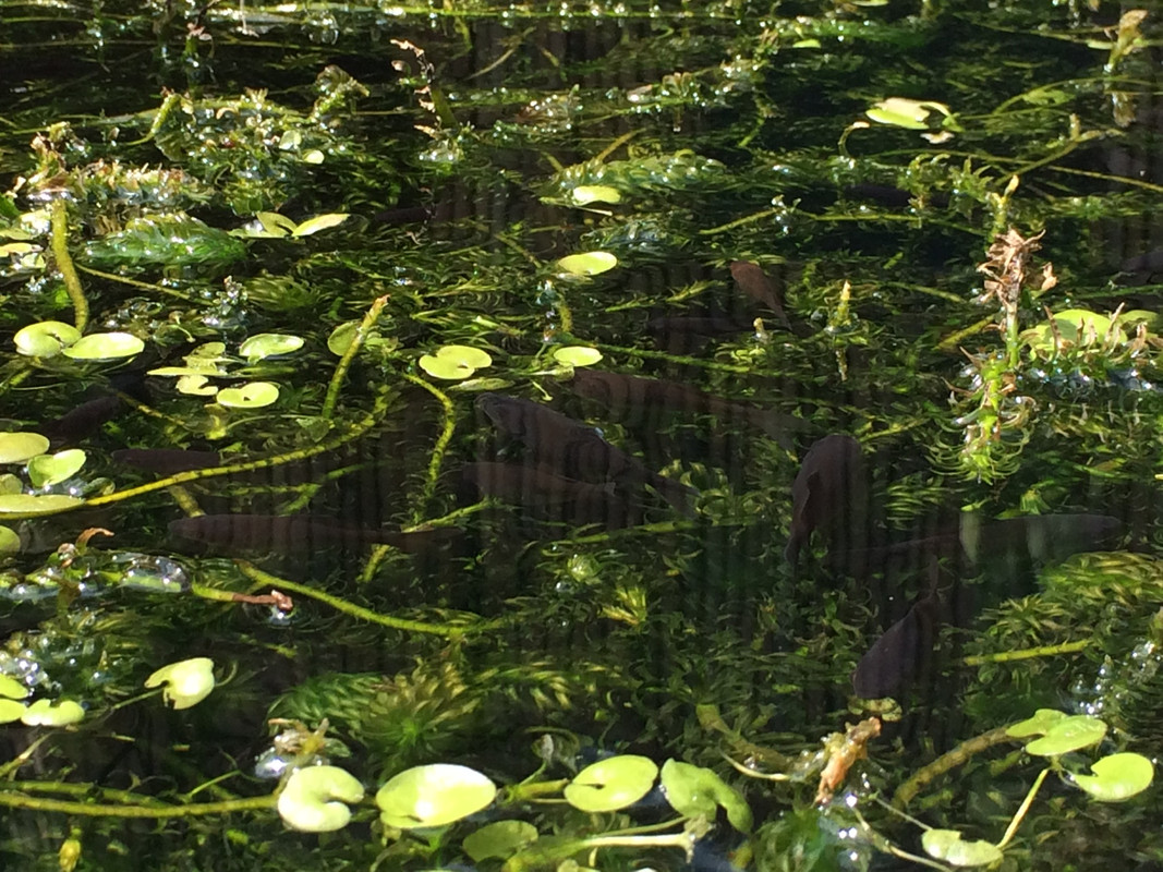 5E9F79EF-2FBC-48EB-A430-375F609881F9