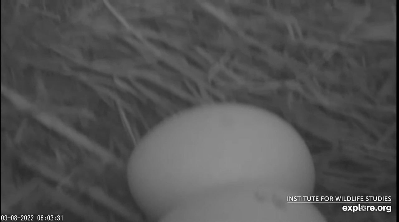 88B420B2-FC0D-4407-8E5E-7371A42112BA