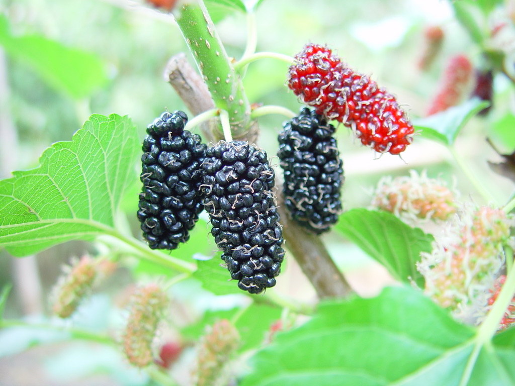 CFC33C31-9993-4A7E-B817-B5AF479BB4A2_1_105_c