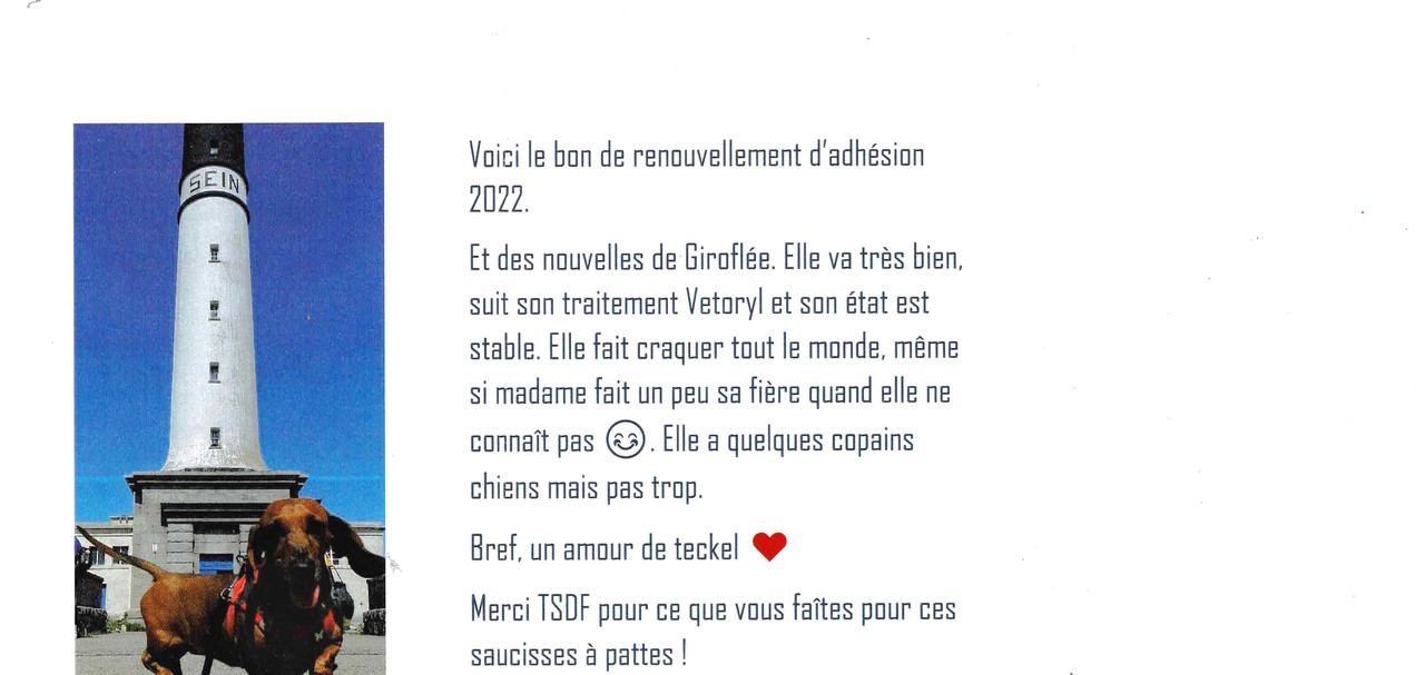 [Image: Num-risation-20220626-3.jpg]