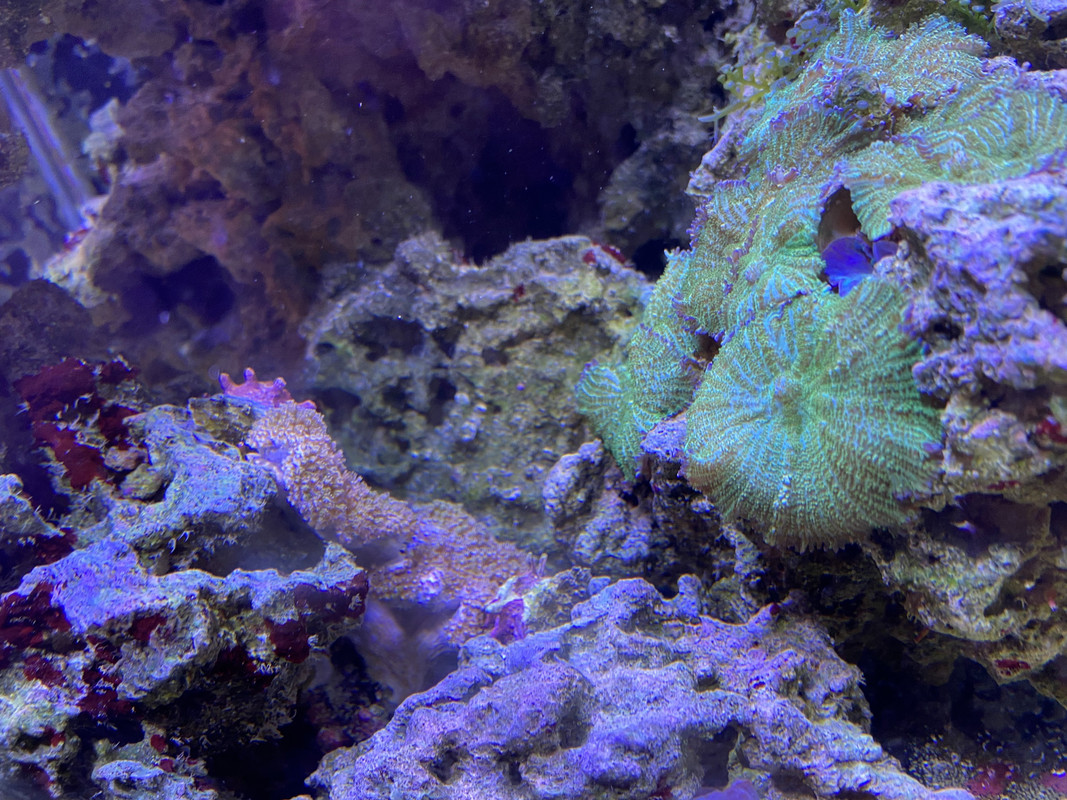 7A1D10DB-1DFA-4AA4-9222-878C739EE245