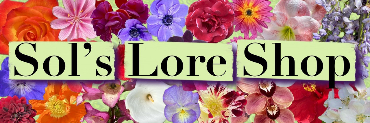 Lore-shop-banner.jpg
