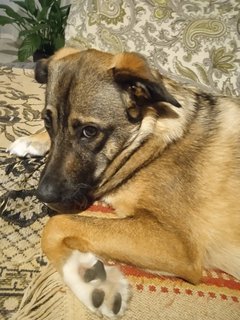 BF347EB4-CAAB-4B0D-AA08-3D16402A5F96