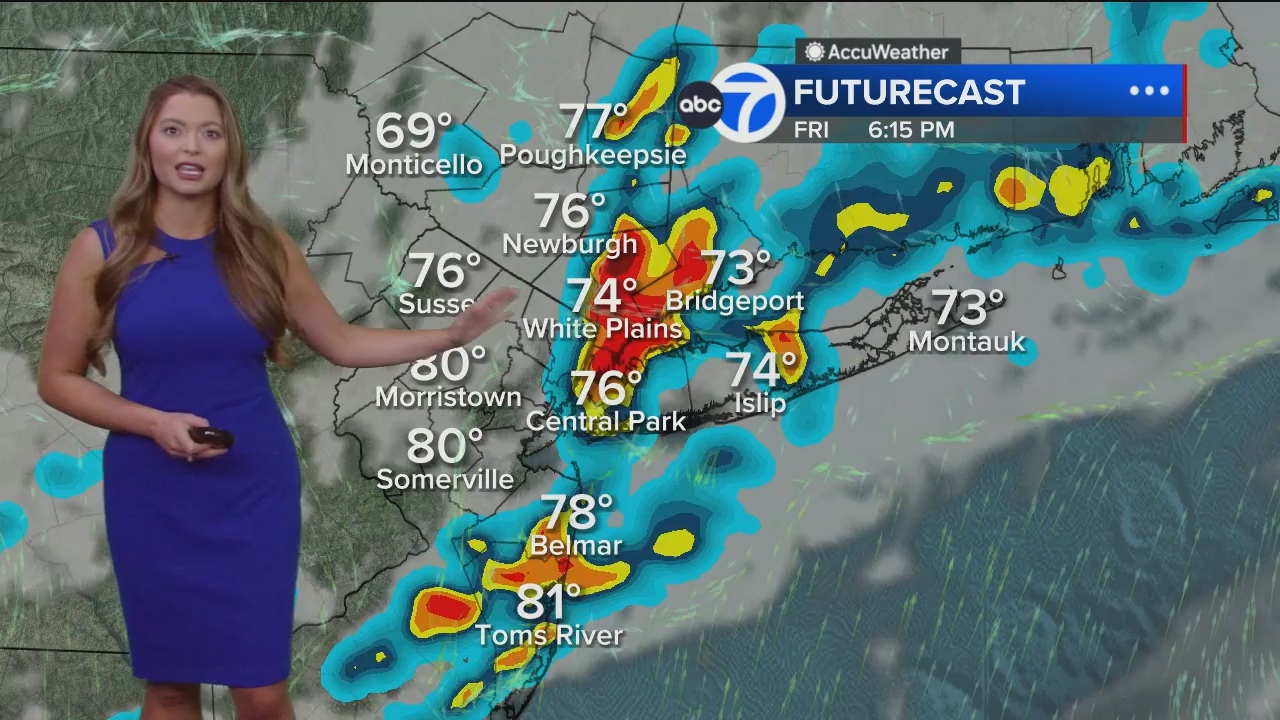 Eyewitness News Mornings at 10_20240614_15001600.ts_snapshot_00.48.10.856