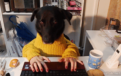 IMG-7747.gif