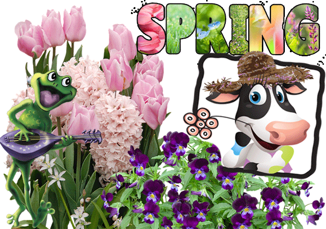 650-101043-flower-easter-free-download-png-hd