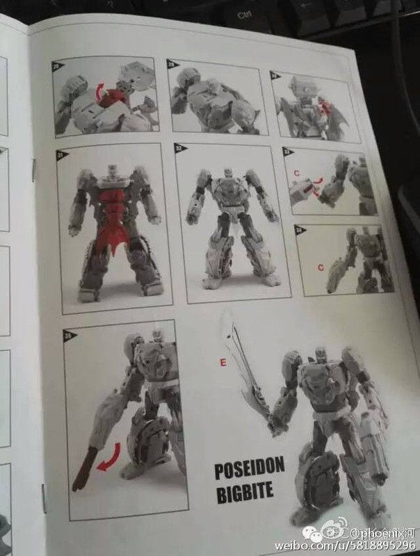 13335684_273570489660052_8468610432334643673_n