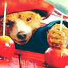 icth101red-Paddington2applesii