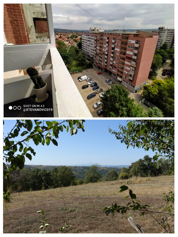 20251002-094611-COLLAGE.jpg