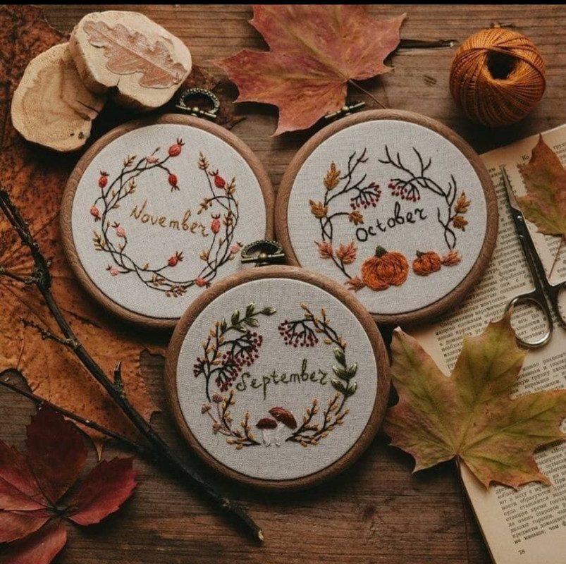 Screenshot_20231207_155500_Instagram