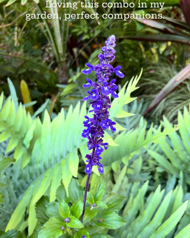 2851011F-8195-4E86-876E-31E870114F81