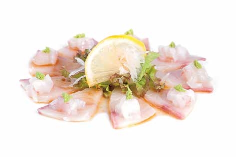 231 Carpaccio suzuki - 10 pezzi