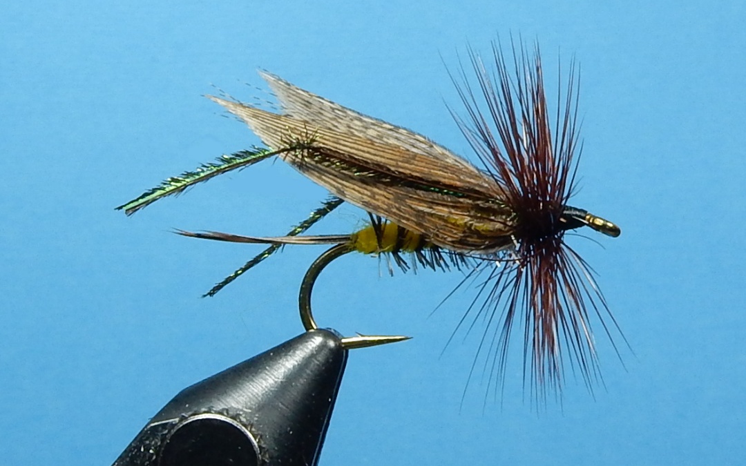 Hopper-Special-1080.jpg