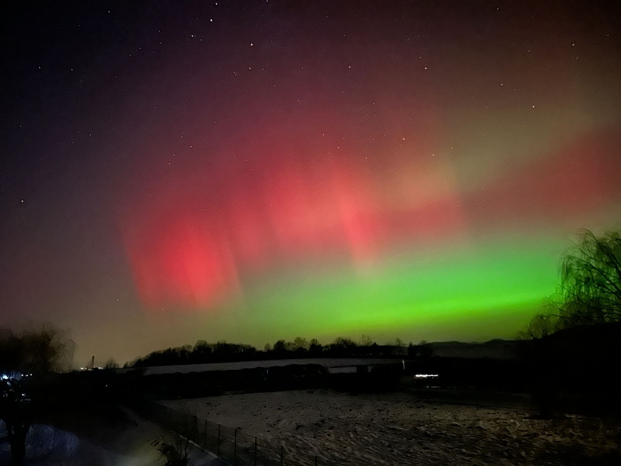 Whats App Image 2026 01 20 at 08 51 52 (1)